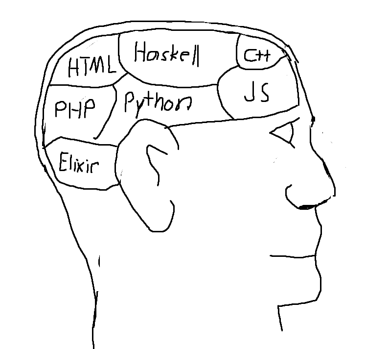 A side-profile of a head, with sections of the brain marked with different programming languages